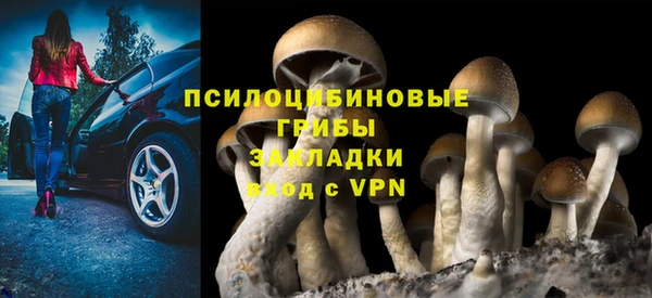 тгк Зеленодольск