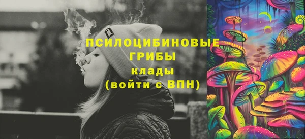 тгк Зеленодольск