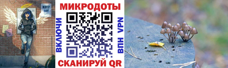 Псилоцибиновые грибы Magic Shrooms  Купить где  Каменск-Уральский 